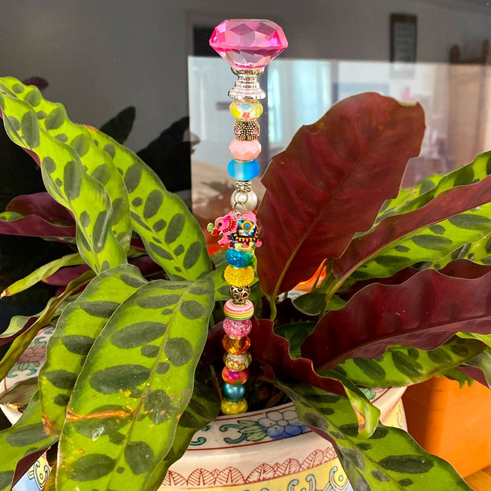Plant Jewelry Sun Catcher